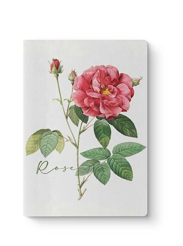 Botanik Serisi 3'lü Defter Seti - 5